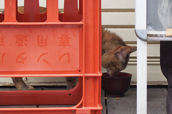 ヴェルデ　食べちゃう