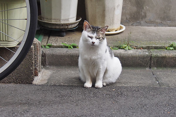 ケイ　正面から