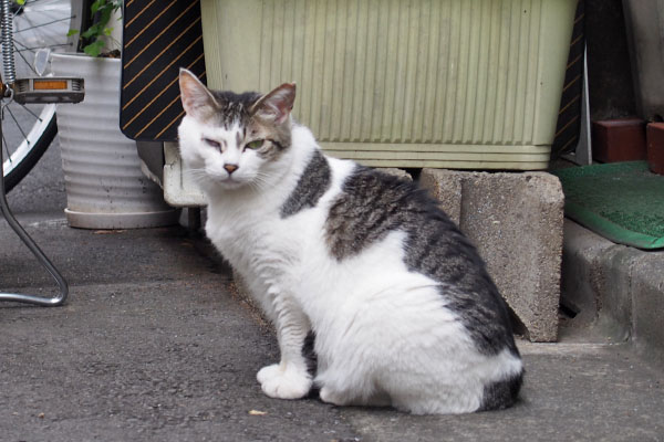ケイ　横から