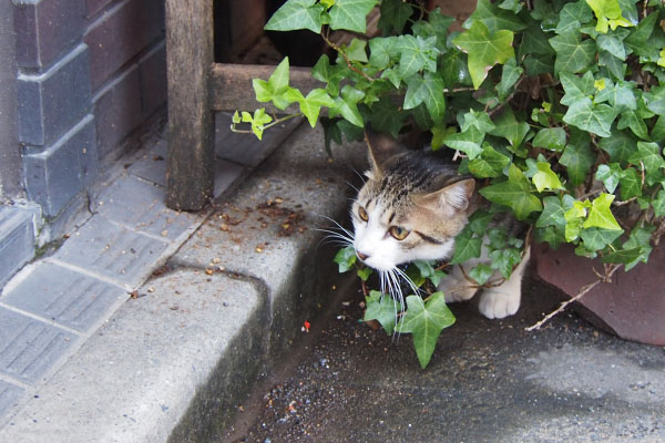 コルビ　ドア前　閉まってる