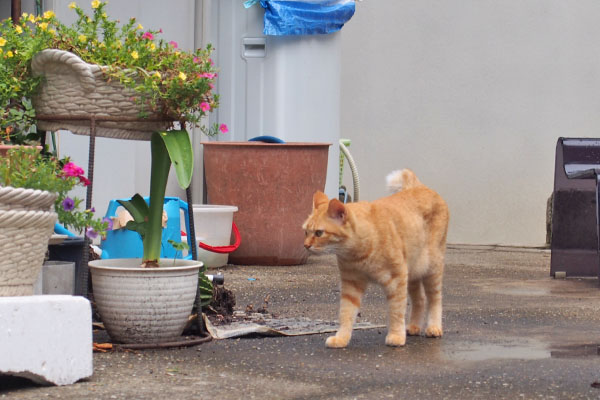 ソラちゃん　何かに気付く