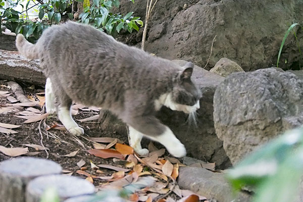 オット　食べてすぐに移動する