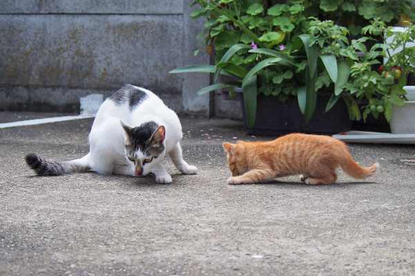 ふたりで探し物