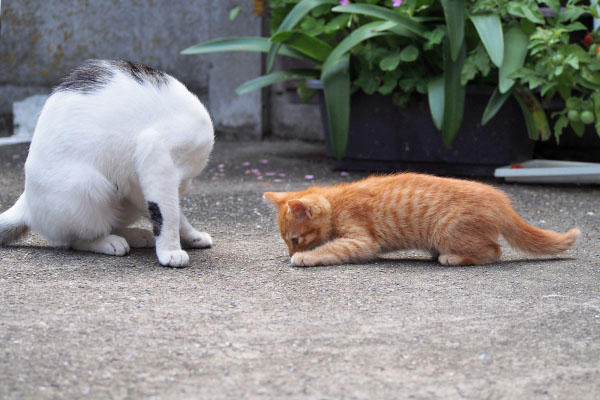 ふたりで探し物２