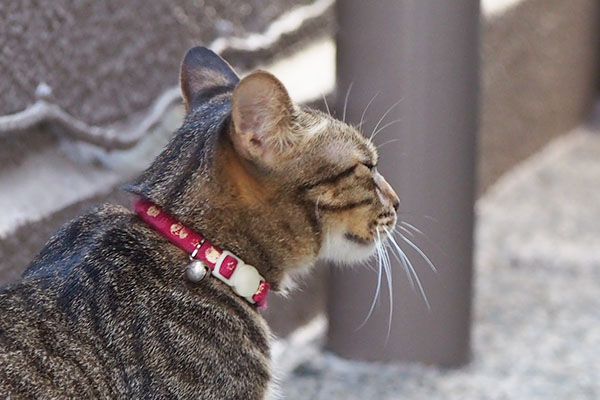 らい太　停止して