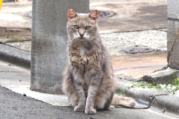 guri sitting and starring