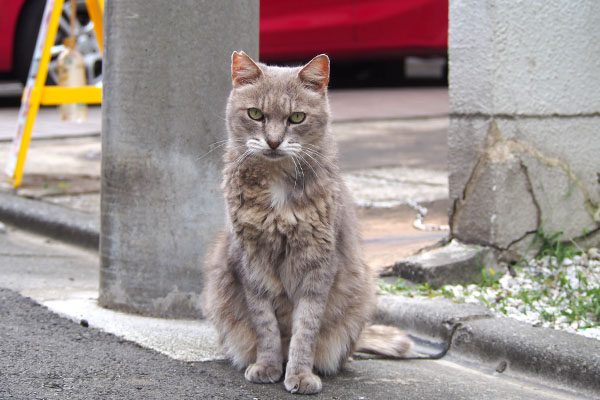 グリ　動かない