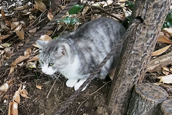 クロム　タンタルを見つけた