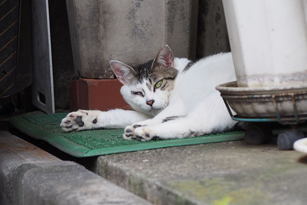 ケイ　お寛ぎ中