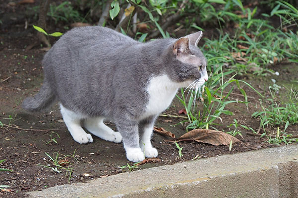 レックス　写真撮られてる