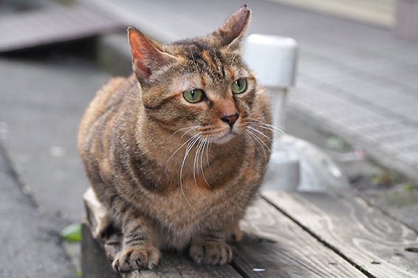 ヴェルデ　ちょっと小腹が