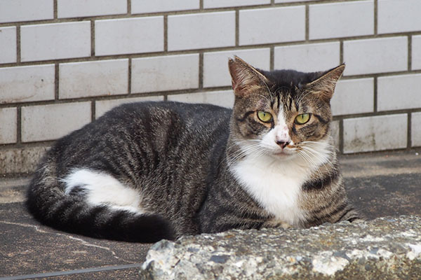 アシメ　横になる