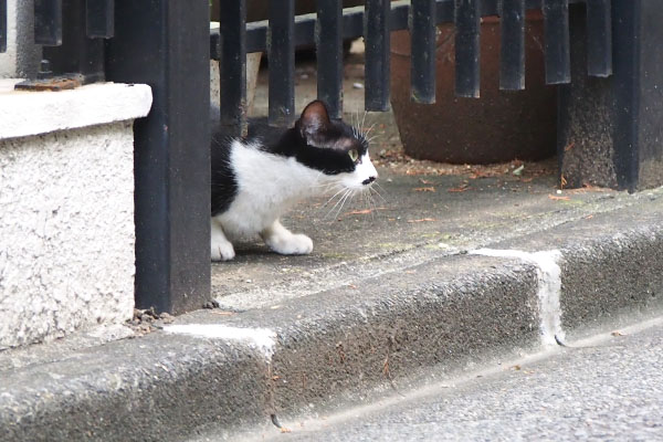 こまち　警戒中