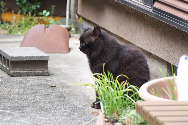 モフネ　移動した