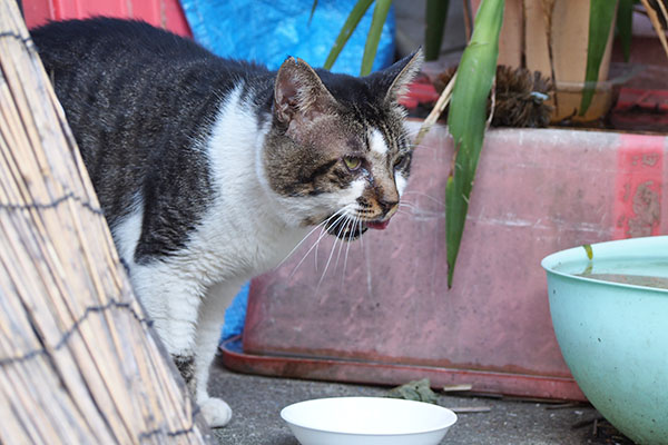 オンブレ　食べ終わった