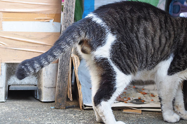 オンブレ　お宝確認