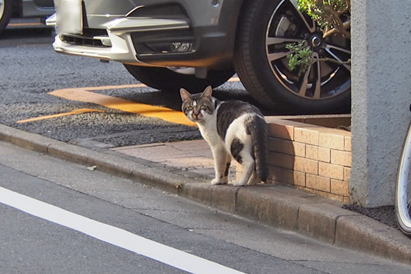 オンブレに見送られ