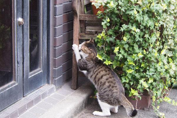 コルビ　時間稼ぎに