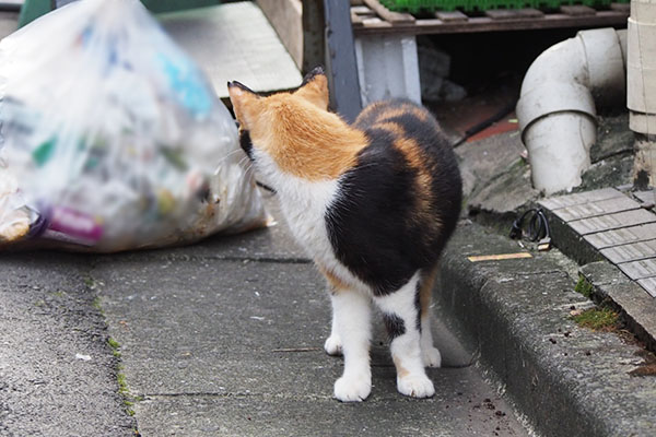 リコ　後ろまで確認