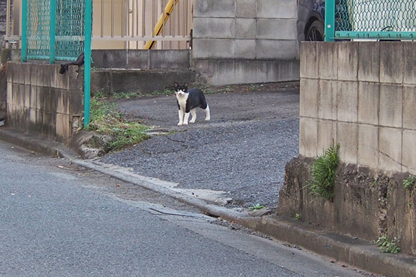 こまち　駐車場に