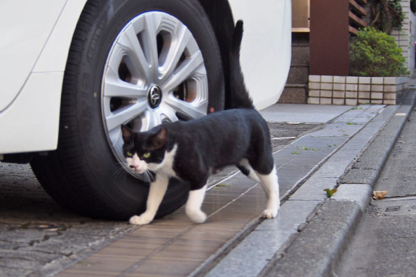 こまち　通り越して