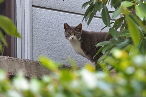 レックス　気付いちゃう