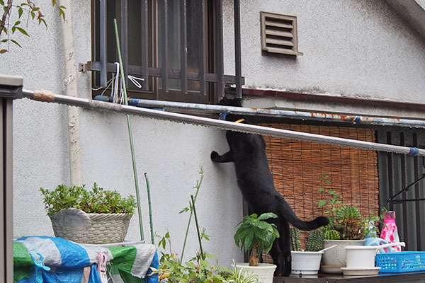 モノ太　救出へ向かう