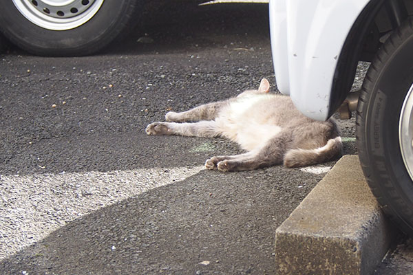 グリ　寝とる