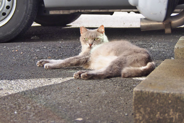 グリ　起きた