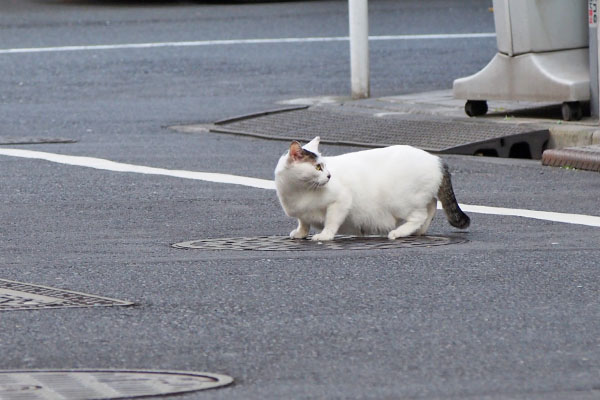 オーロラ　基地を見てる