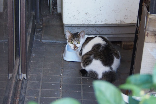 セイ　秘密の場所で食べてた