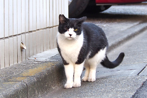 チョモ　待ってます