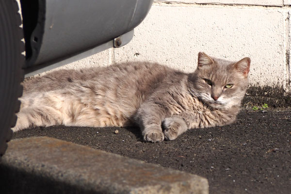 グリ　起きちゃった