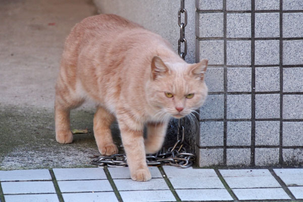 怖い顔をする　ミーレ