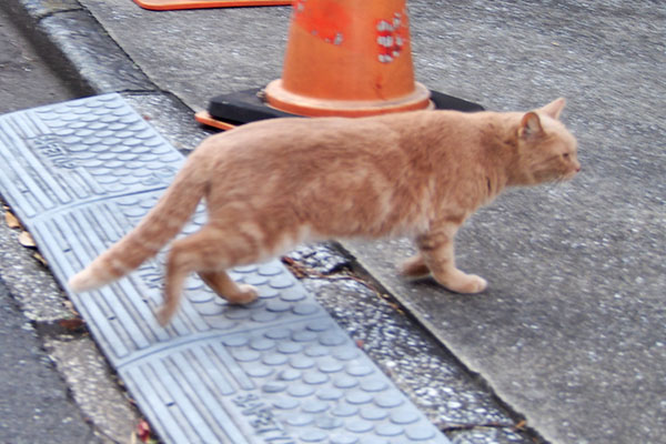 基地へ戻る　ミーレ