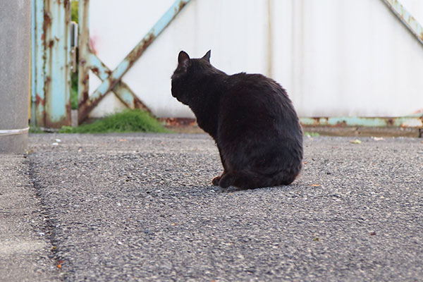 ジェト　行っちゃうか