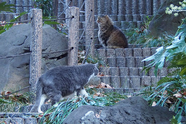 オット　ゆっくり進む