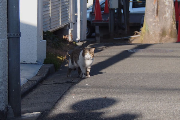 なかむらさんちから神社に行くところ