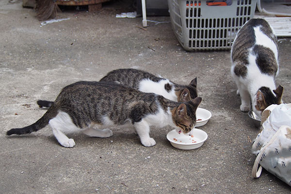 兄弟でお食事