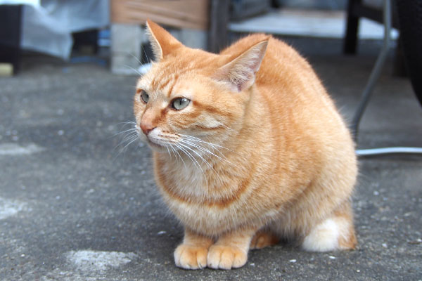 ソラちゃん　親子ツーショットを見る