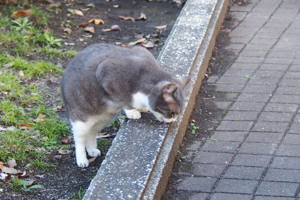 レックス　立ち食い