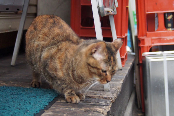 何かを思い出し動く　ヴェルデ