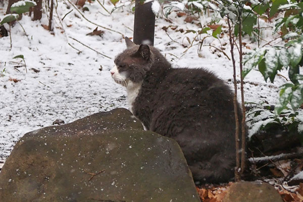 オット　猫背