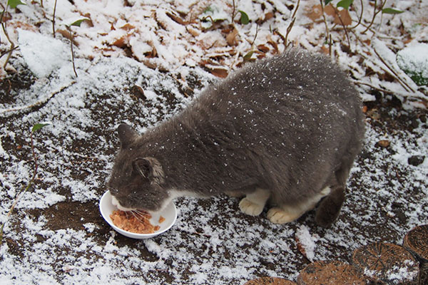 オット　食べる