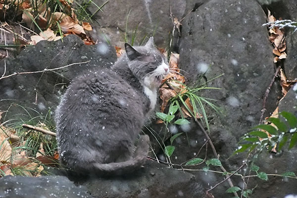 オット　お口もごもご