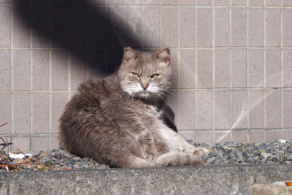 お顔ちょっとぶちゃいく