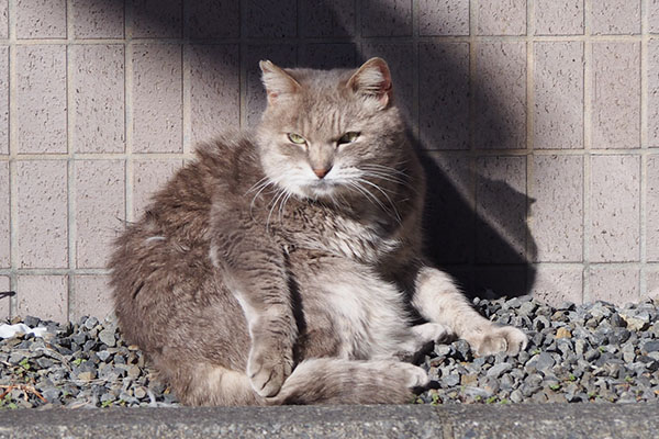 グリ　停止状態