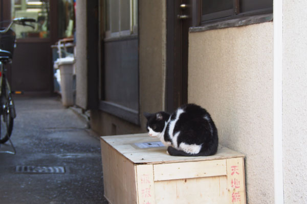 工場の中は忙しそうにゃ