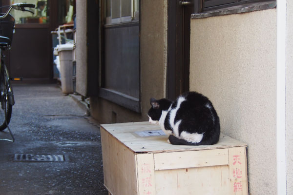 工場の中は忙しそうにゃ２