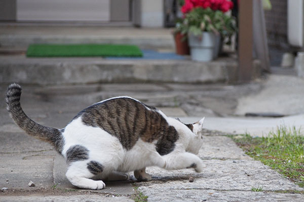 セイ　再びオン